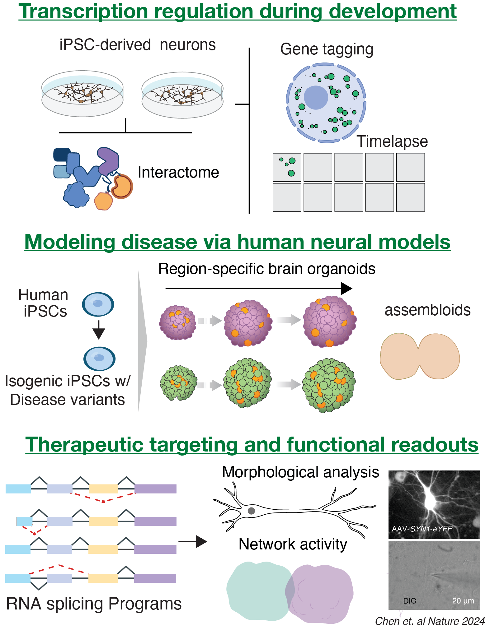 Chen Lab