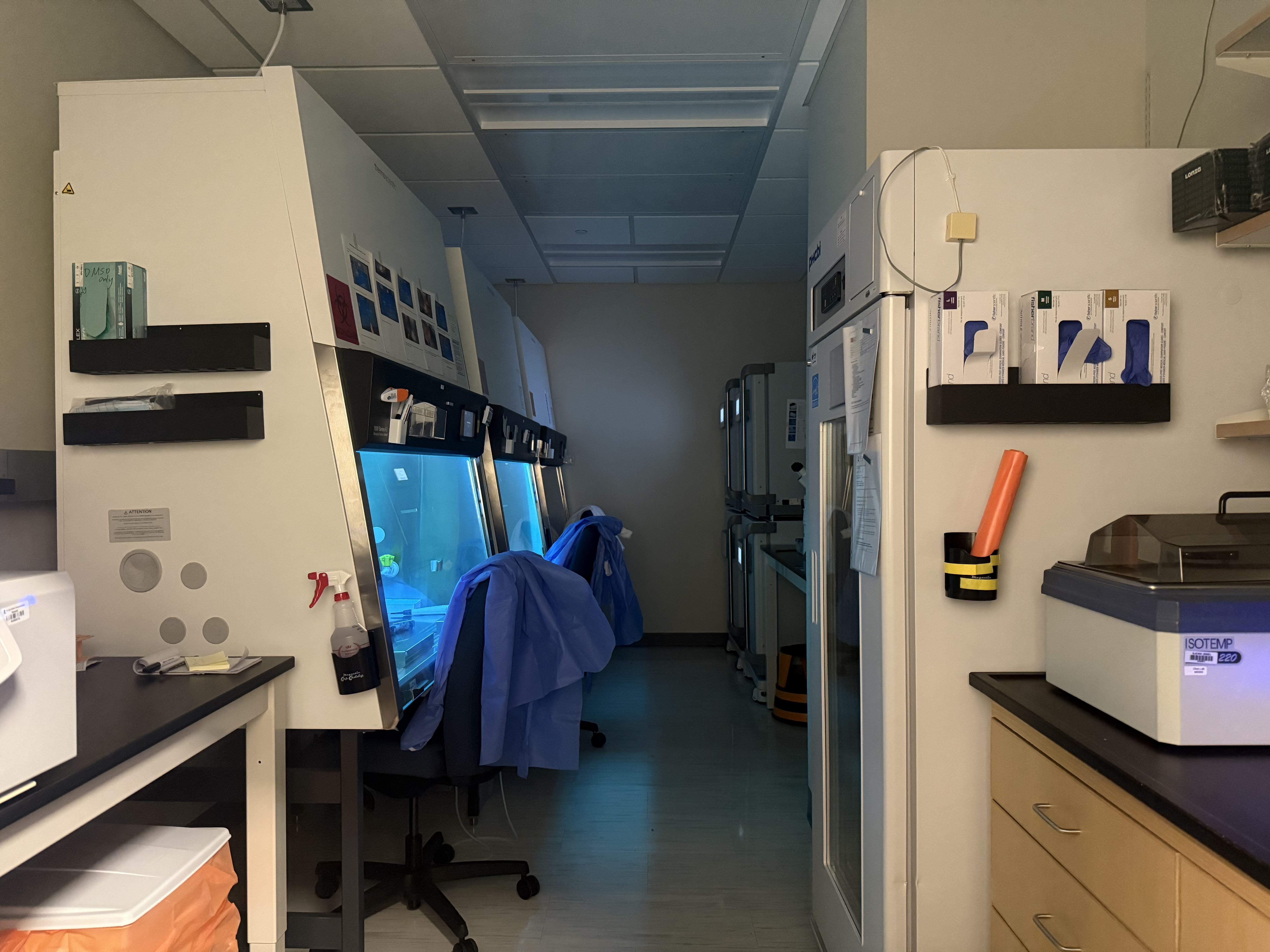The cell culture room at the Chen Lab