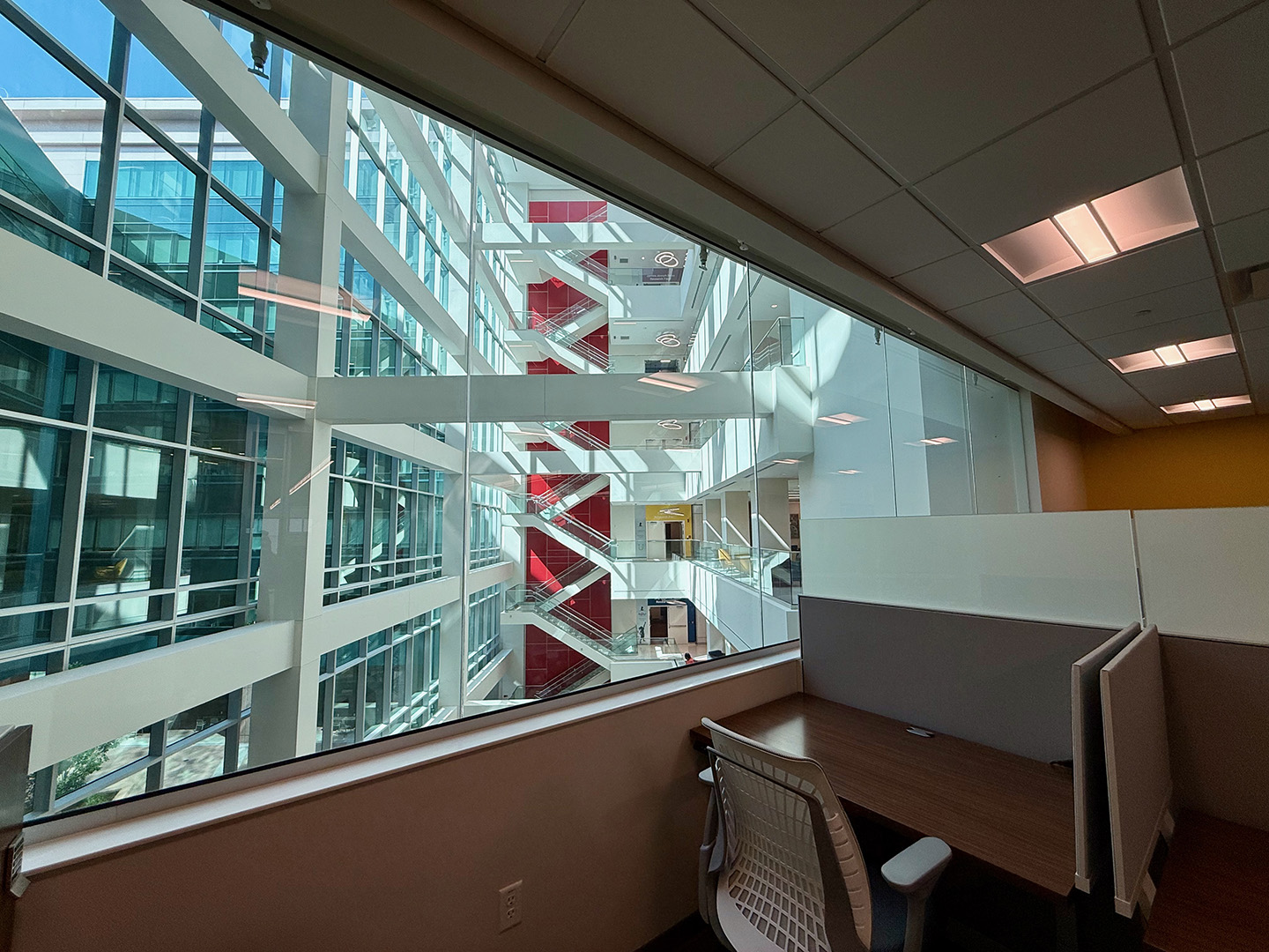 The atrium at St. Jude on lab opening day