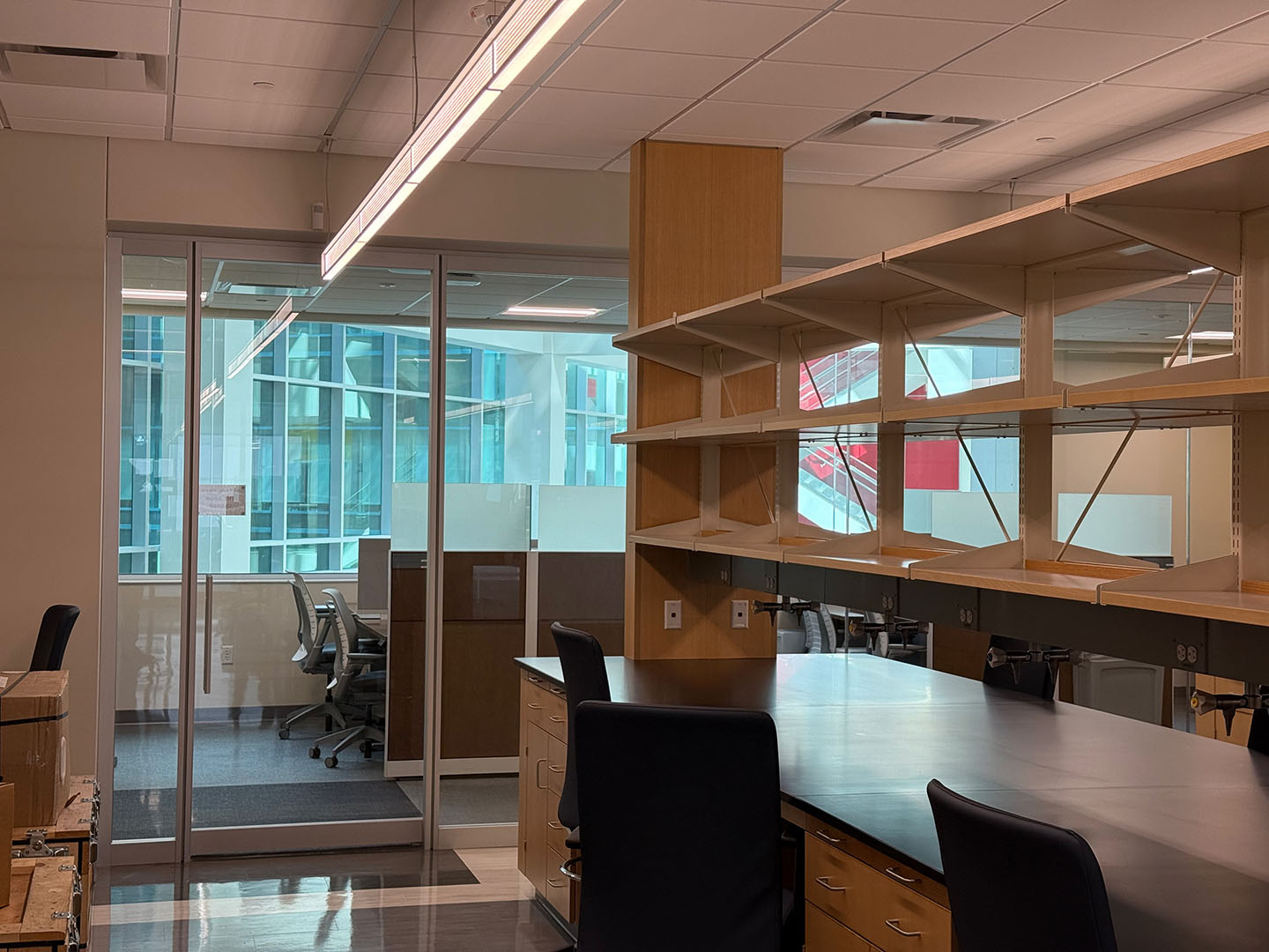 The Chen Lab on opening day